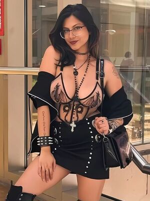 TheVixenFiles